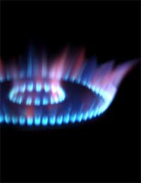 Gas Energy Privatision Government